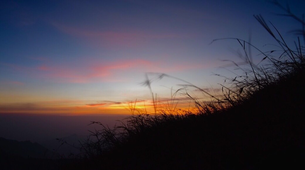 People go on day hikes to Mt. Ulap. A kid who looked like he was barely 10, accompanied by his parents, made it look like a walk in the park. My siblings, cousins, and I stayed here overnight unprepared for the cold. This #sunset was worth the discomfort. #philippines #mtulap
