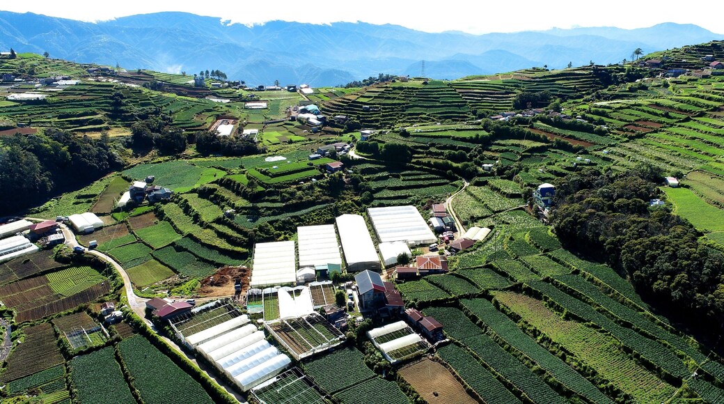 Beautiful view of houses in a green agricultural field in Atok, Benguet, Philippines