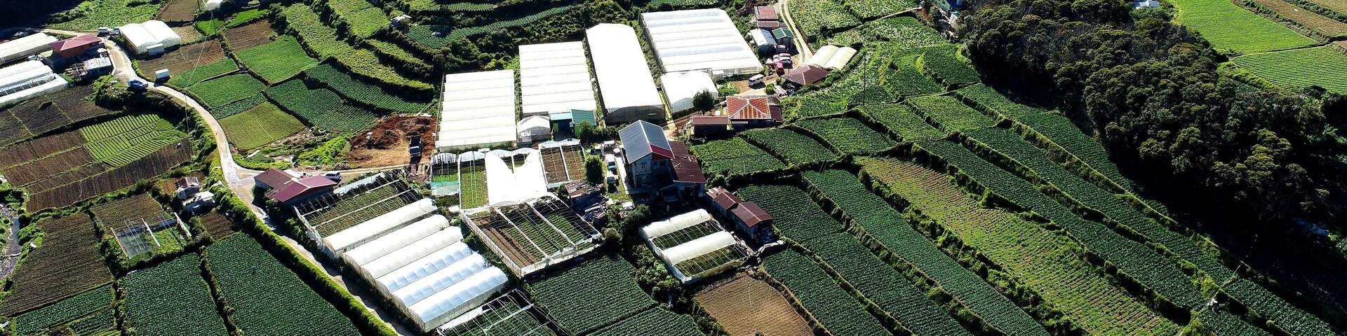 Terraced agricultural fields, greenhouses, and a mountainous backdrop.
