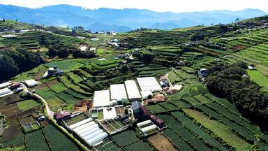 Beautiful view of houses in a green agricultural field in Atok, Benguet, Philippines