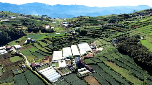 Beautiful view of houses in a green agricultural field in Atok, Benguet, Philippines