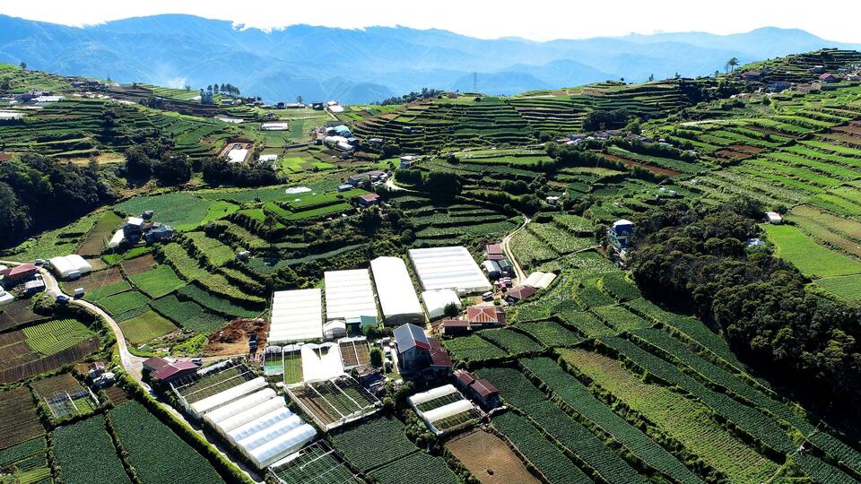 Terraced agricultural fields, greenhouses, and a mountainous backdrop.