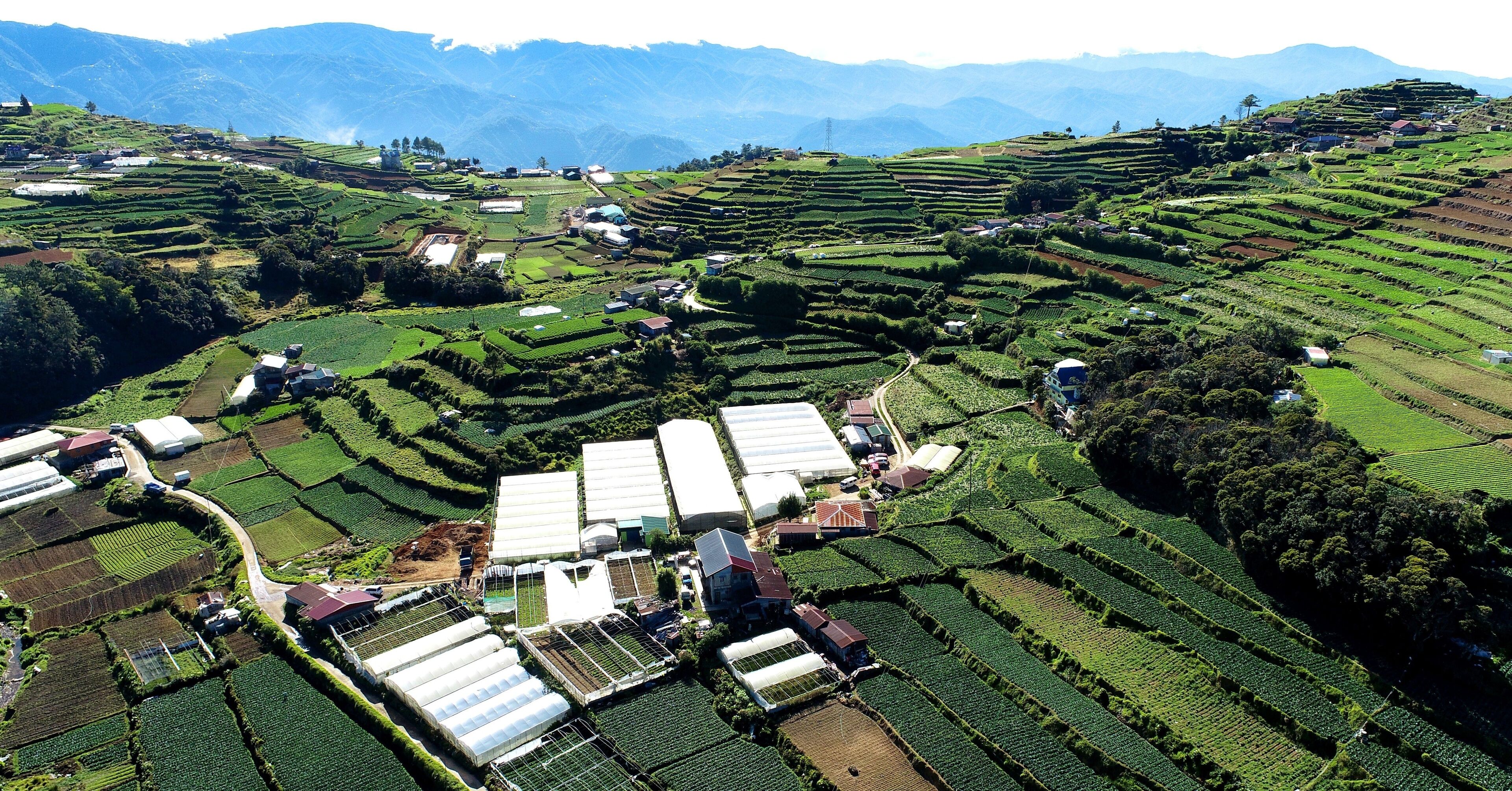 Terraced agricultural fields, greenhouses, and a mountainous backdrop.