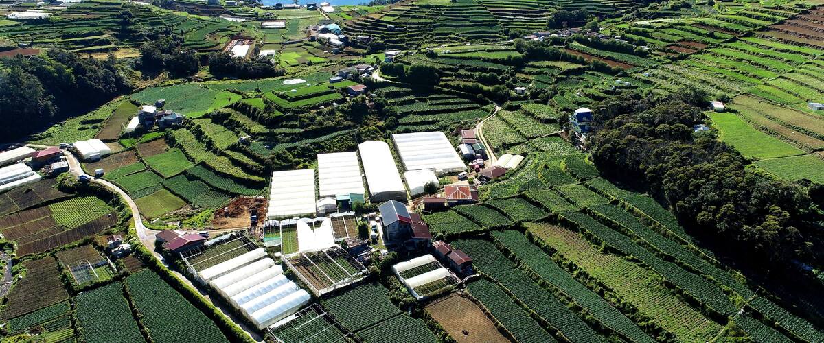 Terraced agricultural fields, greenhouses, and a mountainous backdrop.