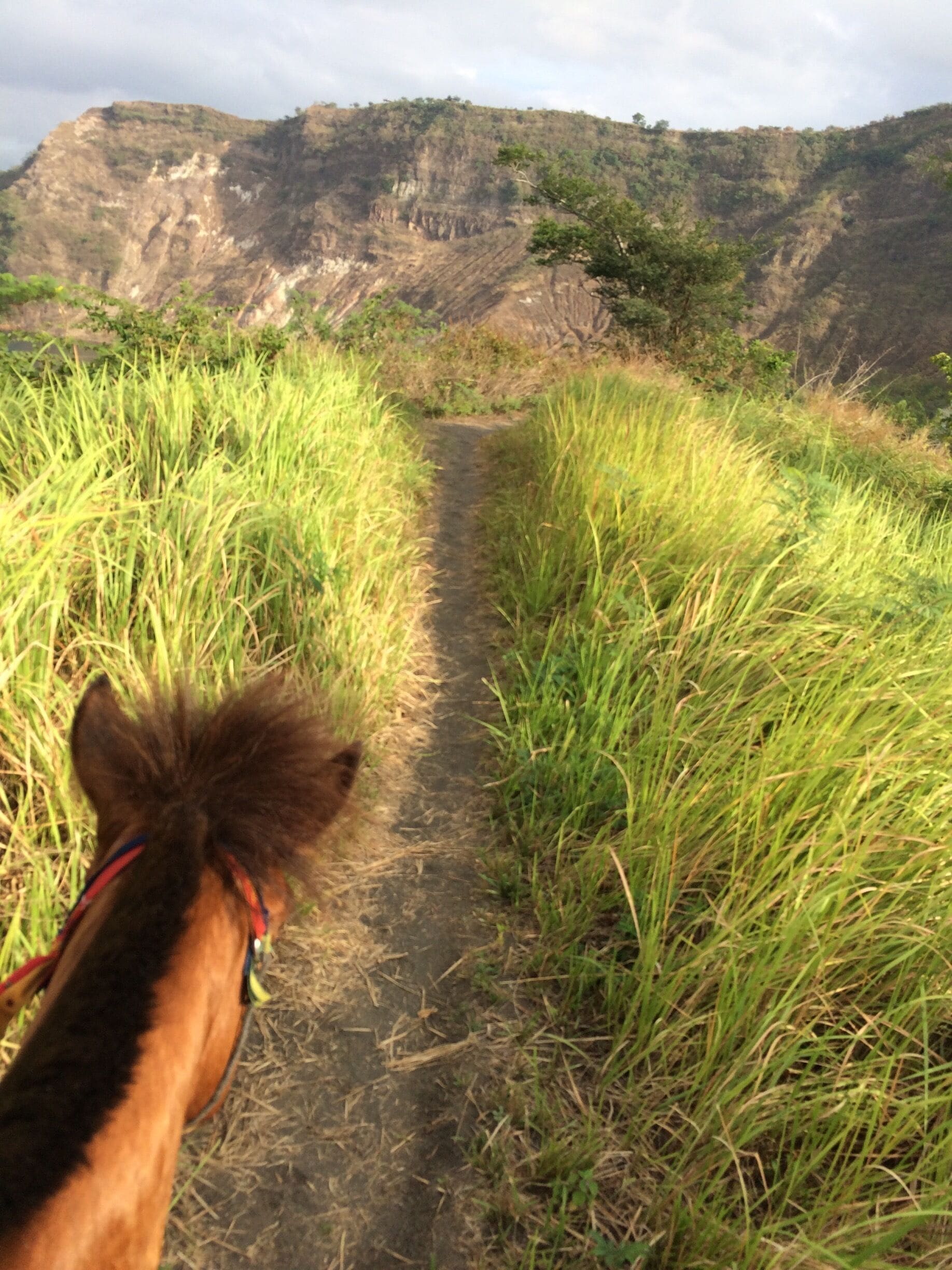 Horse ride to the Vulcan crater. 

Don’t forget to negociate hardly the price with the owner of the horses and give the relative tip to ur guide 🙏🏻