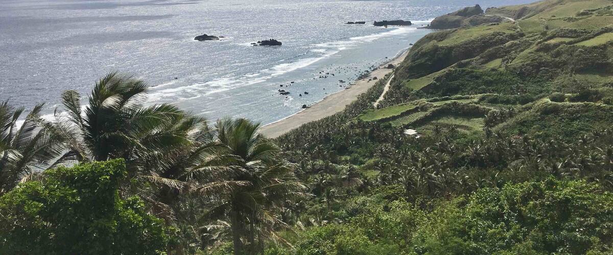 A coastal landscape with a beach, palm trees, and rocky outcrops.