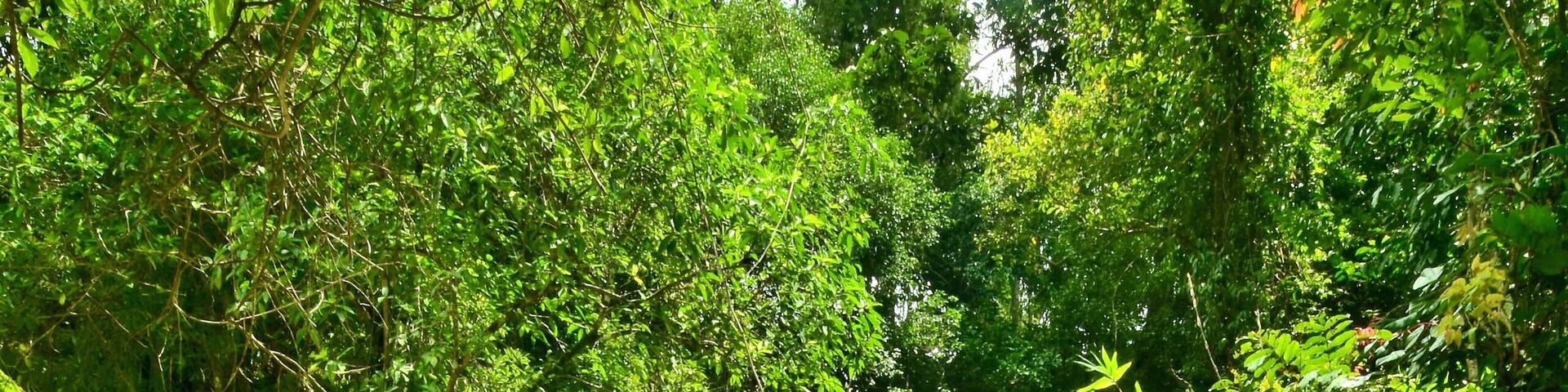 A natural wonder that's been subject to human wrongs. People should start working on preserving the planet that we live in.