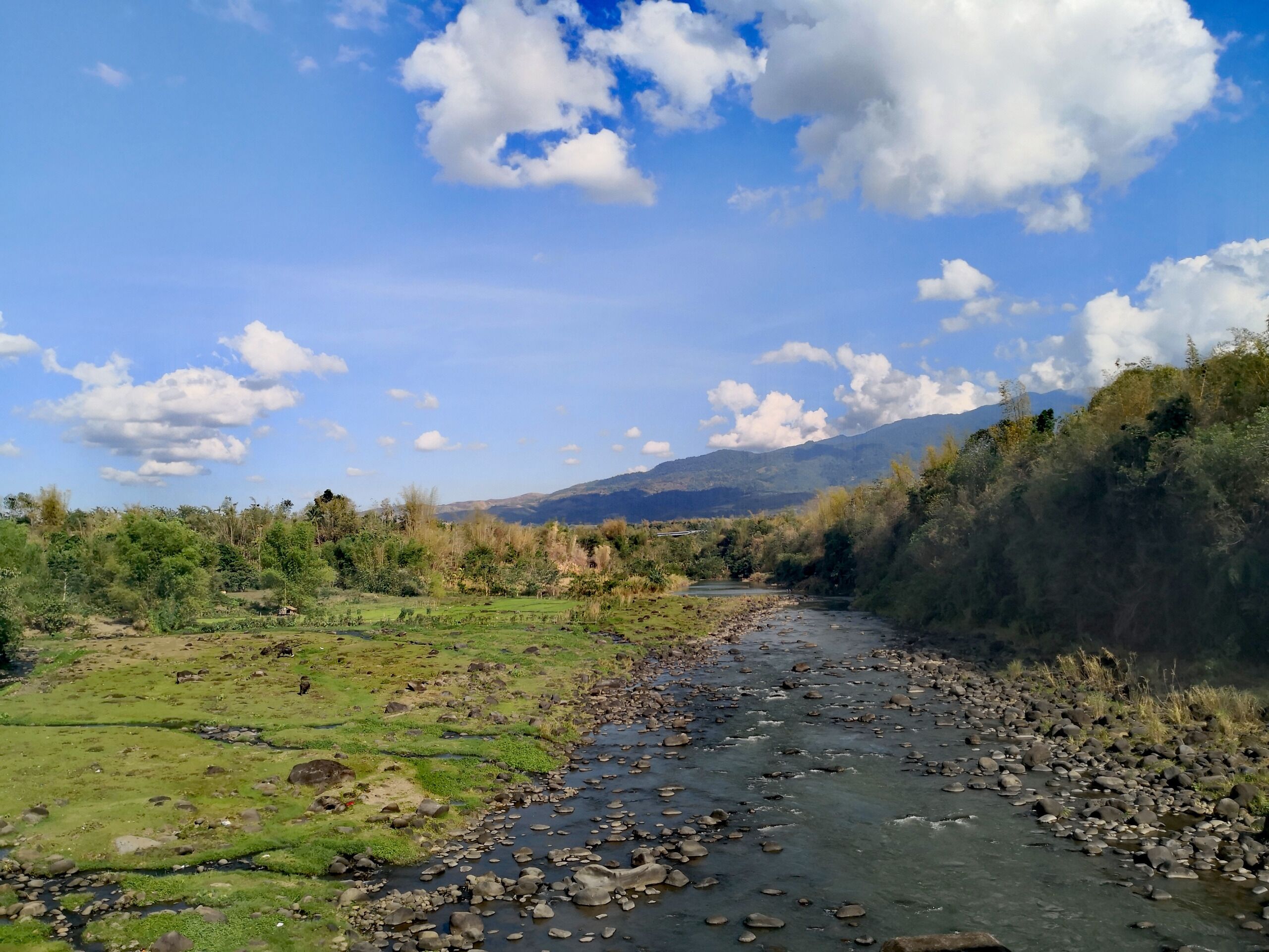 A river with rocks, surrounded by greenery and mountains in the background.