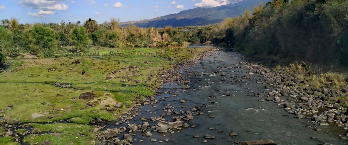 A river with rocks, surrounded by greenery and mountains in the background.