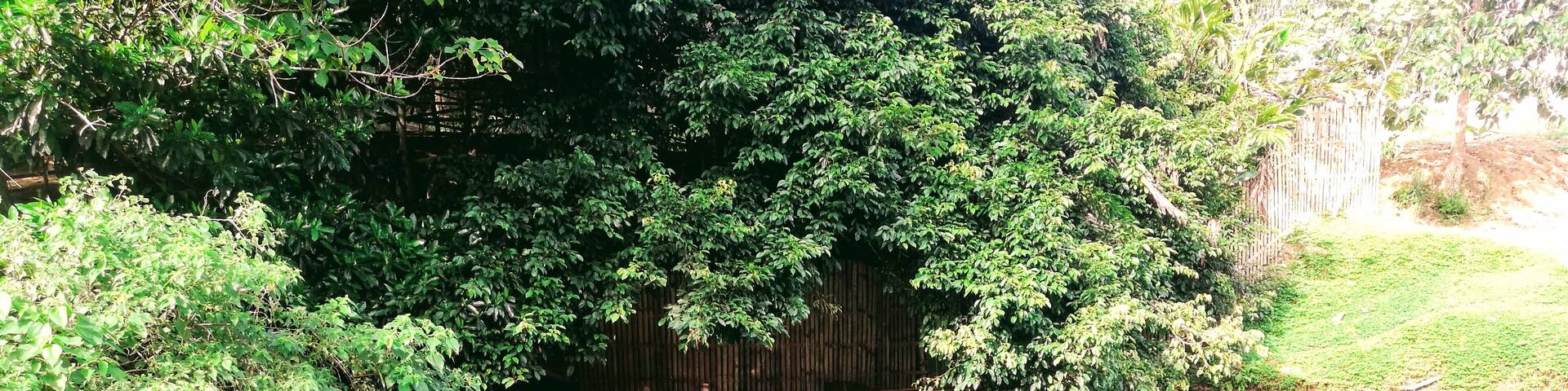 Do you want to explore or even trying to find solace? This place will never disappoint you.
No wonder the place is called Kimereges Blue Waters because the water is indeed blue. Plunging into its cold water is so refreshing and fishes are happily swimming with you. You'll also be tickled with small fish when you immersed your feet into the water. They're entertaining as they swarm over your feet.
#nature #naturelover #swimming #picturesque
-WithCollegeFriends
-LifeOfHardWorkers
-ReunitedAfter10LongYears