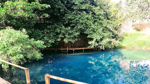 Do you want to explore or even trying to find solace? This place will never disappoint you.
No wonder the place is called Kimereges Blue Waters because the water is indeed blue. Plunging into its cold water is so refreshing and fishes are happily swimming with you. You'll also be tickled with small fish when you immersed your feet into the water. They're entertaining as they swarm over your feet.
#nature #naturelover #swimming #picturesque
-WithCollegeFriends
-LifeOfHardWorkers
-ReunitedAfter10LongYears