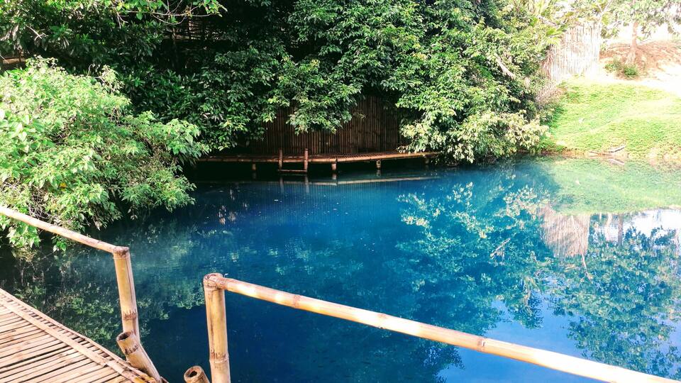 A clear blue pool surrounded by lush greenery and a wooden deck.