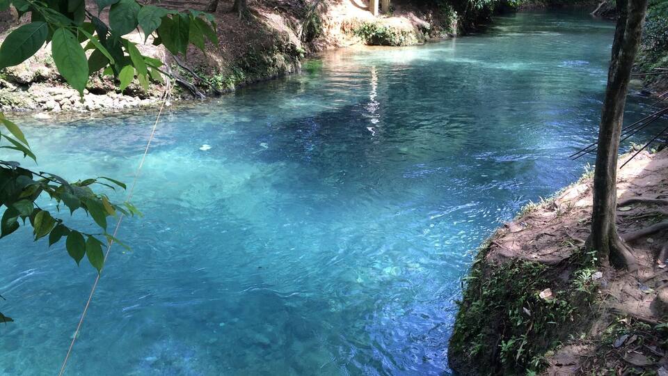 A clear river surrounded by trees and rocky terrain.