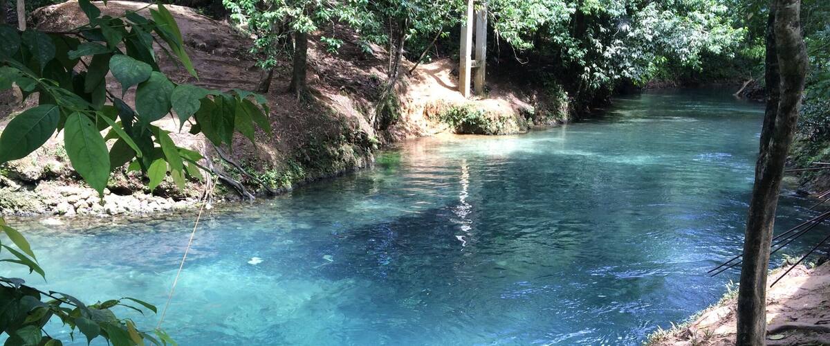 A clear river surrounded by trees and rocky terrain.