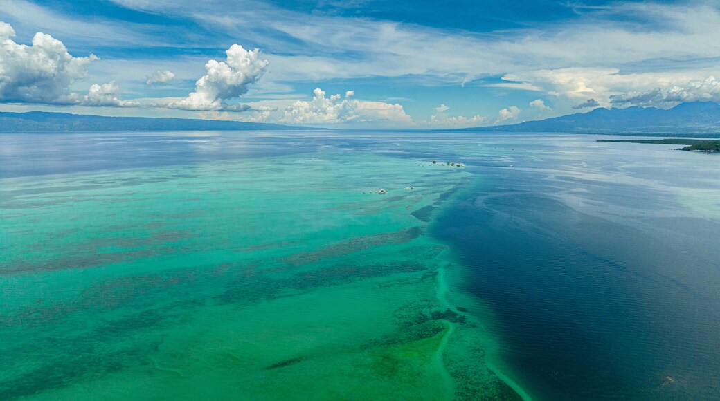 A vast turquoise sea with clear demarcations of shallow and deep waters, a distant shoreline, and a range of mountains under a partly cloudy sky.