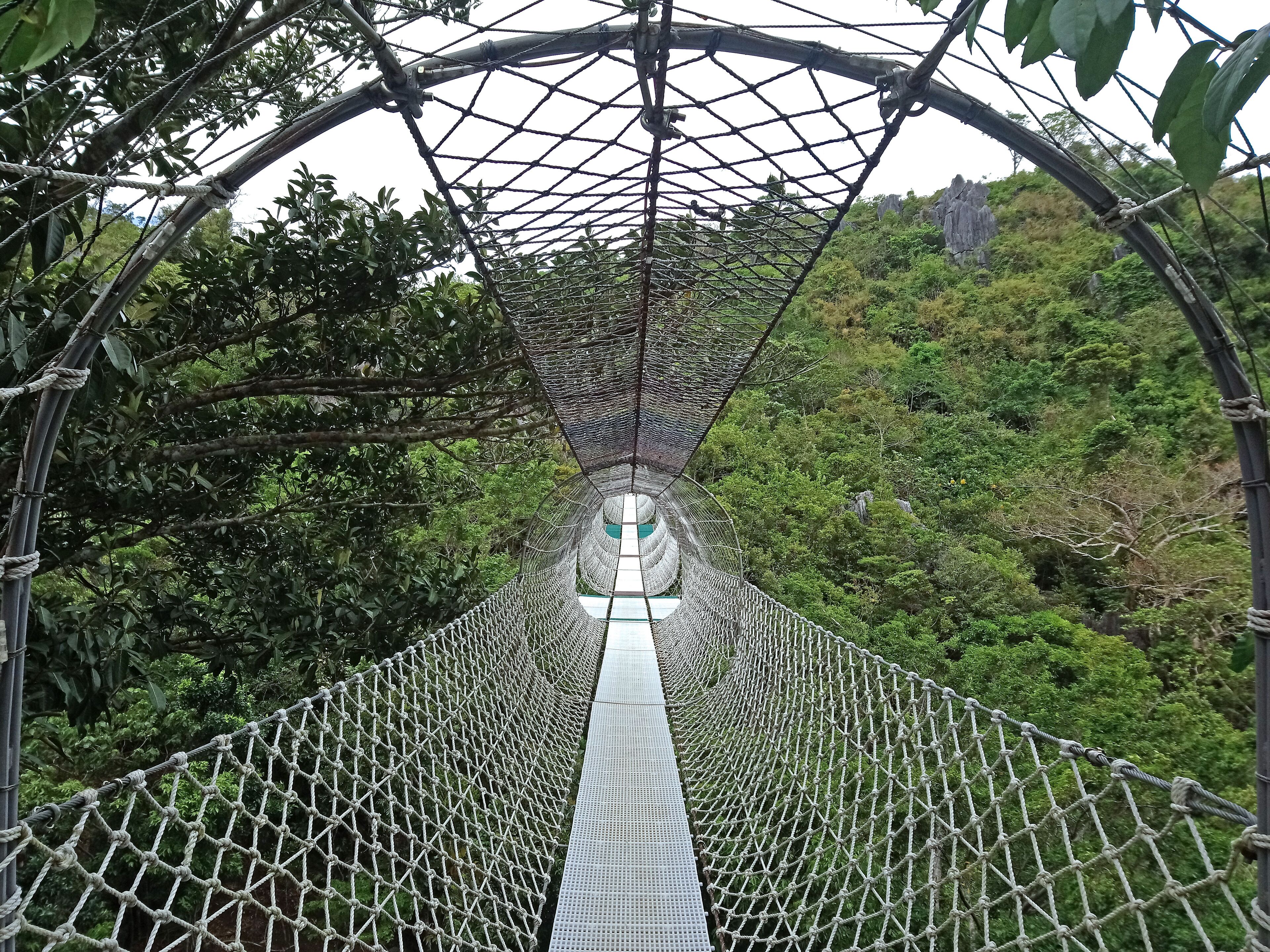 Suspended hanging bridge made from ropes