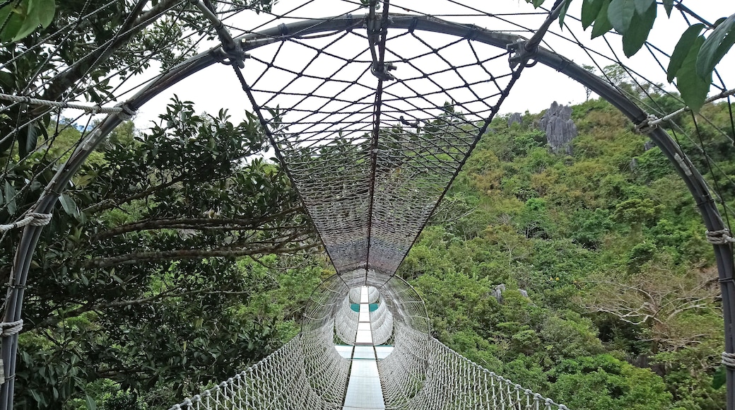 Suspended hanging bridge made from ropes