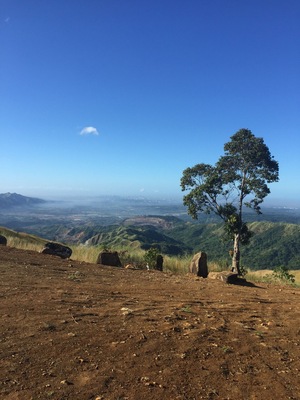 View at the top...