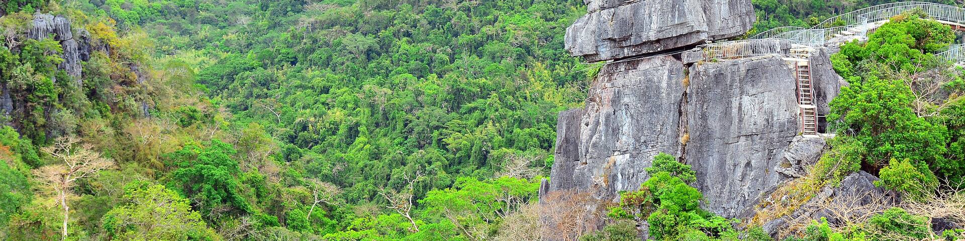mountain and rocks plus trees growing