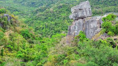 mountain and rocks plus trees growing