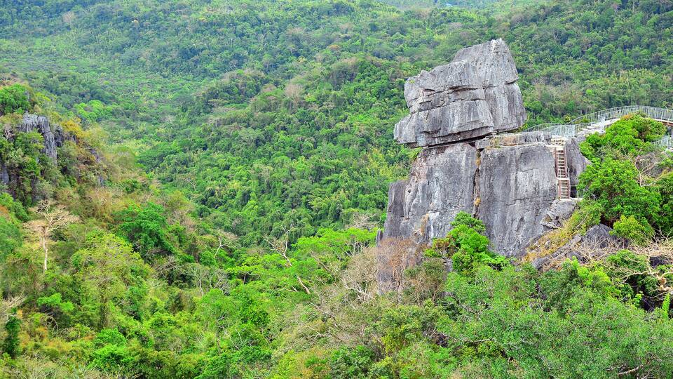 mountain and rocks plus trees growing