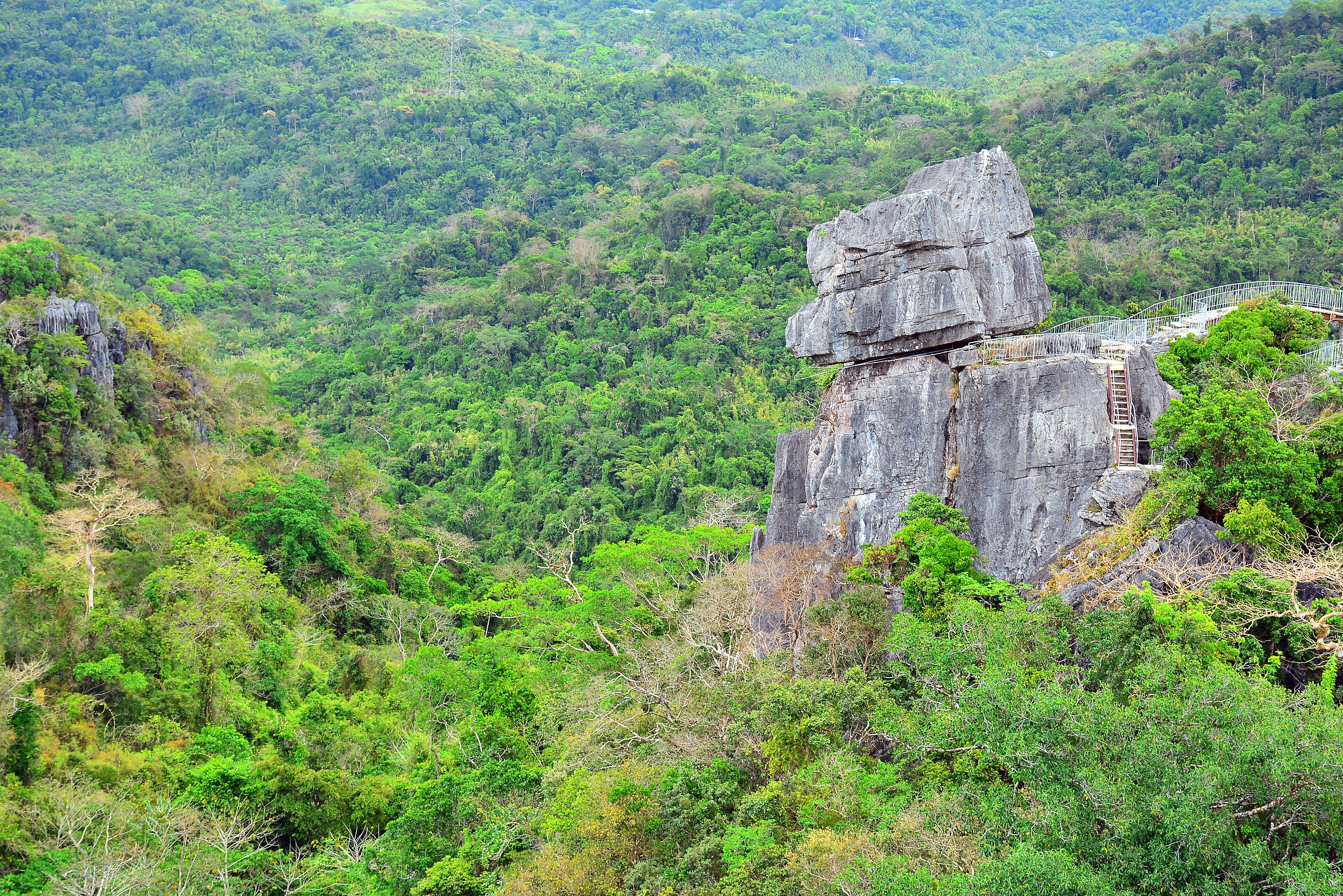 A large rock formation with a bridge in a lush green forest.