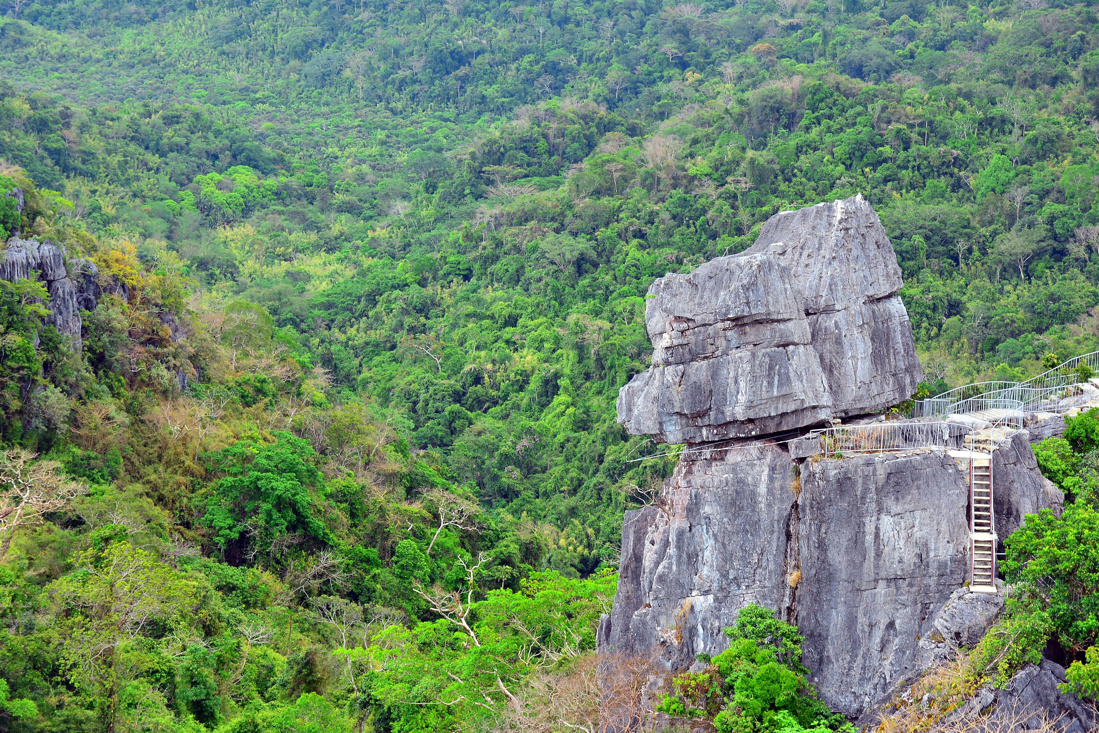mountain and rocks plus trees growing