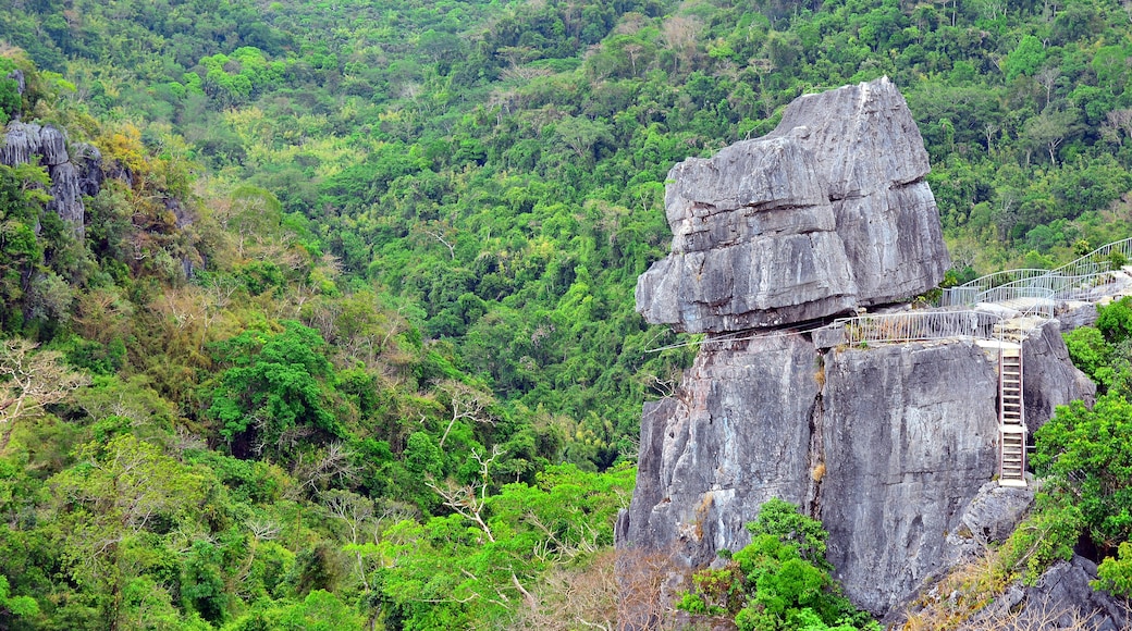 mountain and rocks plus trees growing