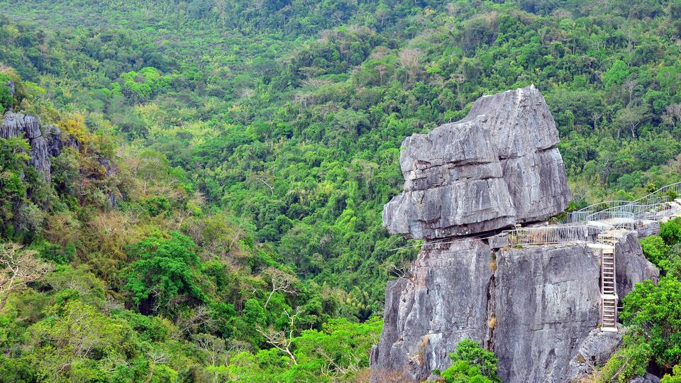 mountain and rocks plus trees growing