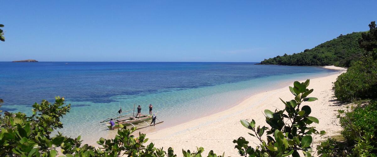A beach with clear turquoise water, a sandy shore, and lush green vegetation.