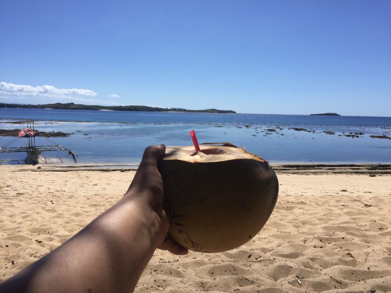 Coconut kind of life