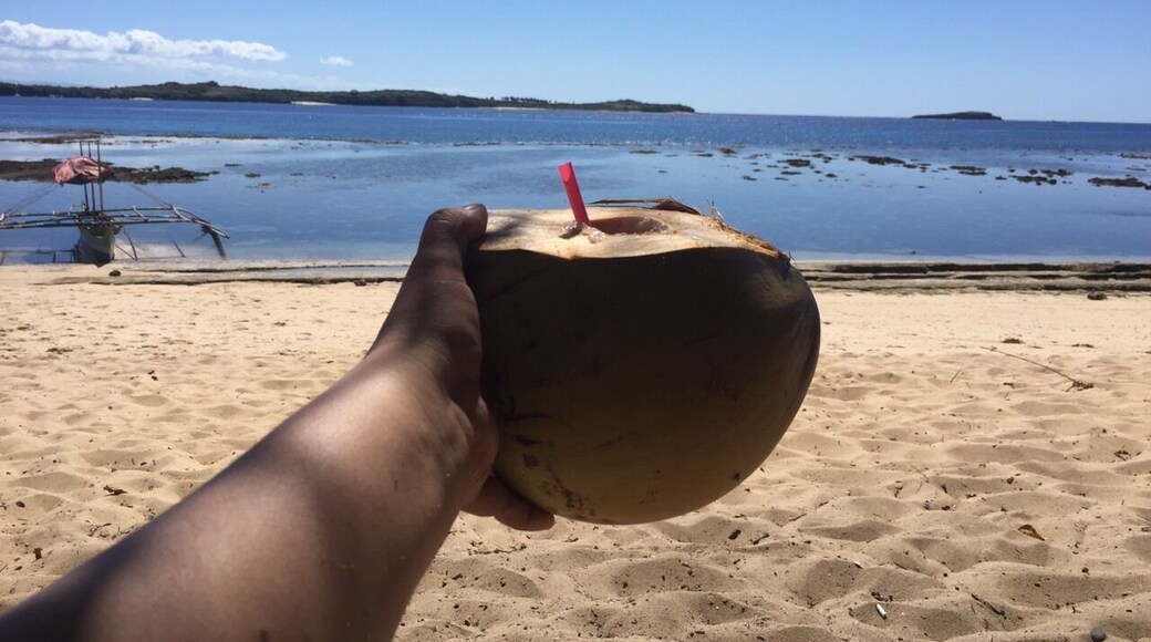 Coconut kind of life