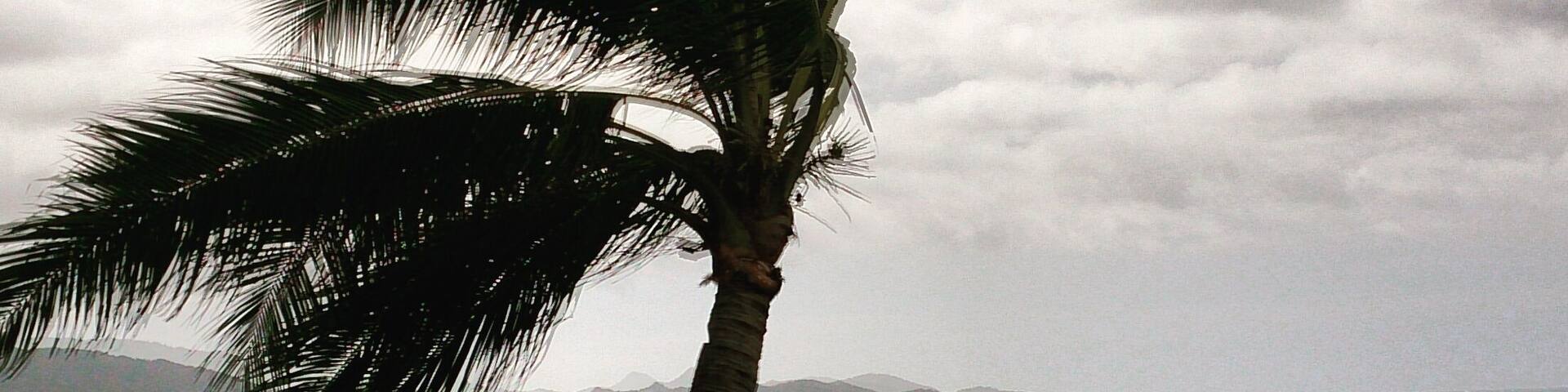 From the land of howling winds and of good seafarers..