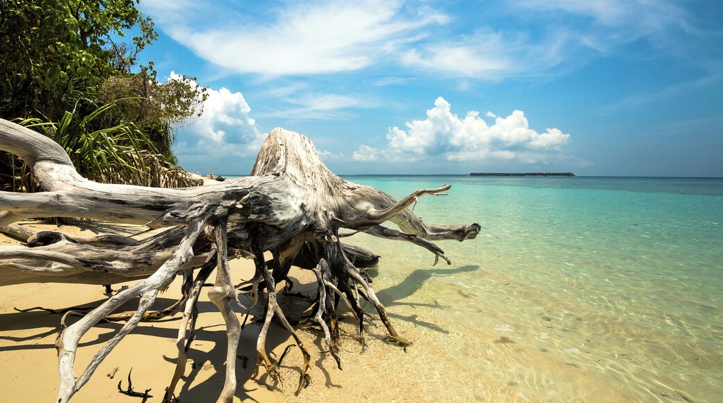 Inviting cerulean skies and turquoise blues at the island of Canimeran in Balabac, Palawan, #Philippines.
#Asia #Palawan #travel #beach #sea #localsecrets