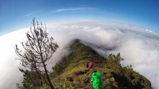 The descent from Mt. Amuyao in the Philippines offers a surreal panoramic view of clouds. #hiking