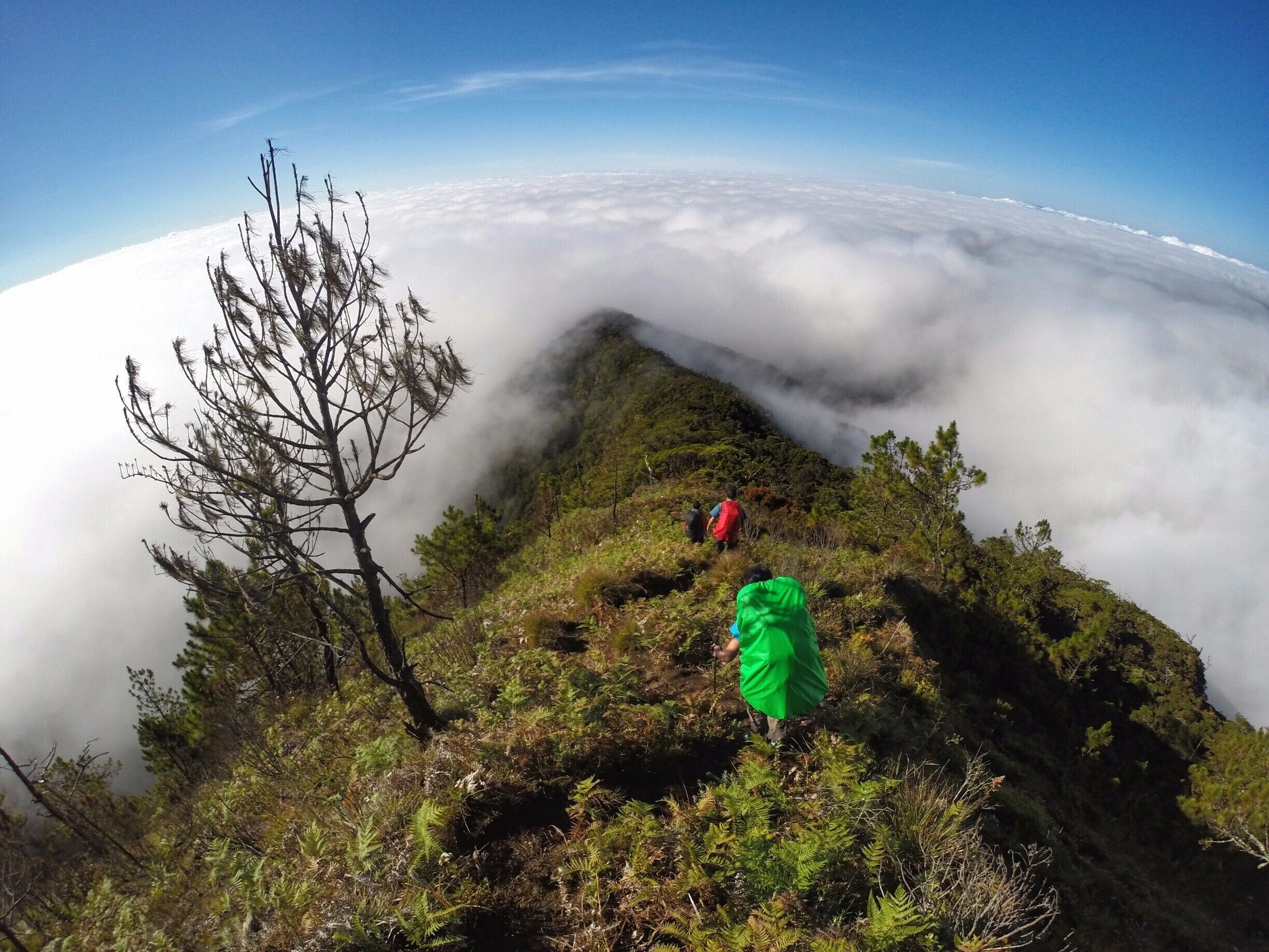 A mountain peak with a clear sky, dense fog below, and hikers on the trail.