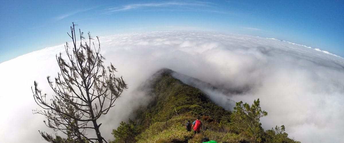 A mountain peak with a clear sky, dense fog below, and hikers on the trail.