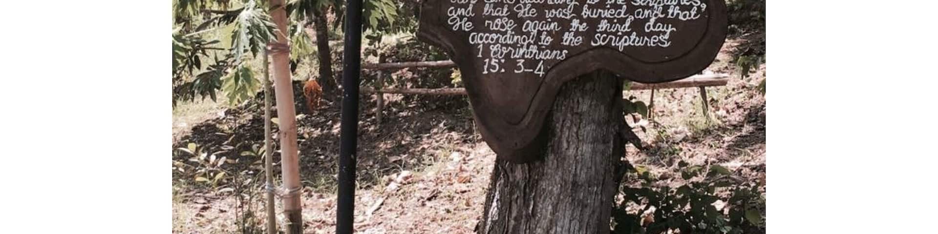 1 Corinthians 15: 3-4