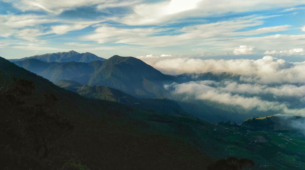 Started hiking this year and this view was taken from Mt. Tabayoc, Luzon's second highest peak, fifth in the PH.
#chasingclouds #Benguet #CordilleraMountains #hiking #mountains #outdoors #nature