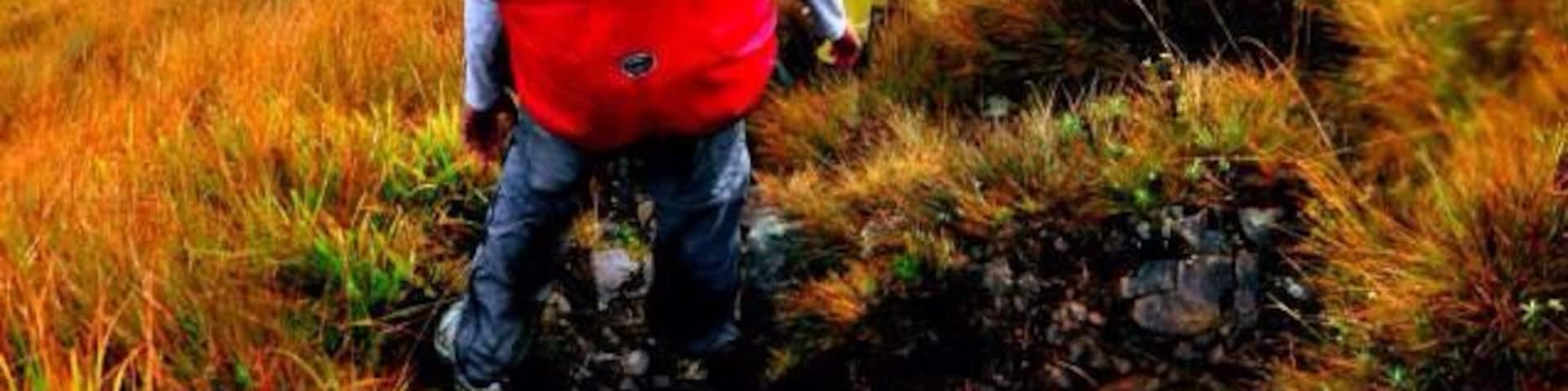 Mount Pulag is the third highest mountain and it is the coldest place in the Philippines. It is Luzon’s highest peak at 2,922 meters above sea level. The borders between the provinces of Benguet, Ifugao, and Nueva Vizcaya meet at the mountain's peak.