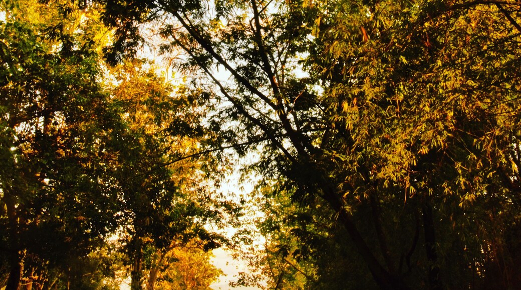 Bridges are good spots for sunrise or sunset. As for the Don Mariano Marcos Bridge along the Abra-Kalinga road, (in this case) the sun rises on its right and sets on its left. This one is a sunrise shot after a long bike ride in the dark.
#localsecrets