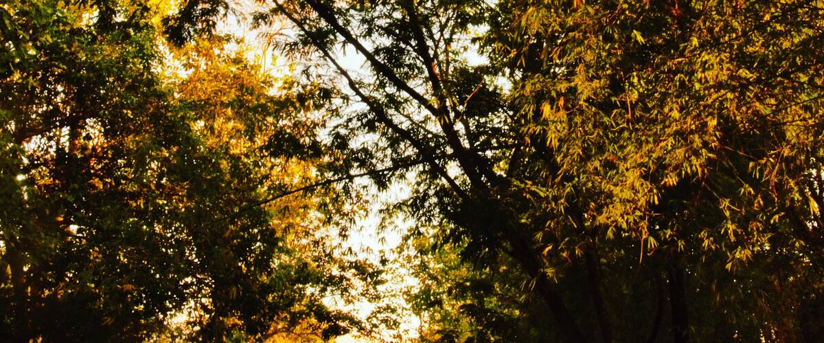 Bridges are good spots for sunrise or sunset. As for the Don Mariano Marcos Bridge along the Abra-Kalinga road, (in this case) the sun rises on its right and sets on its left. This one is a sunrise shot after a long bike ride in the dark.
#localsecrets