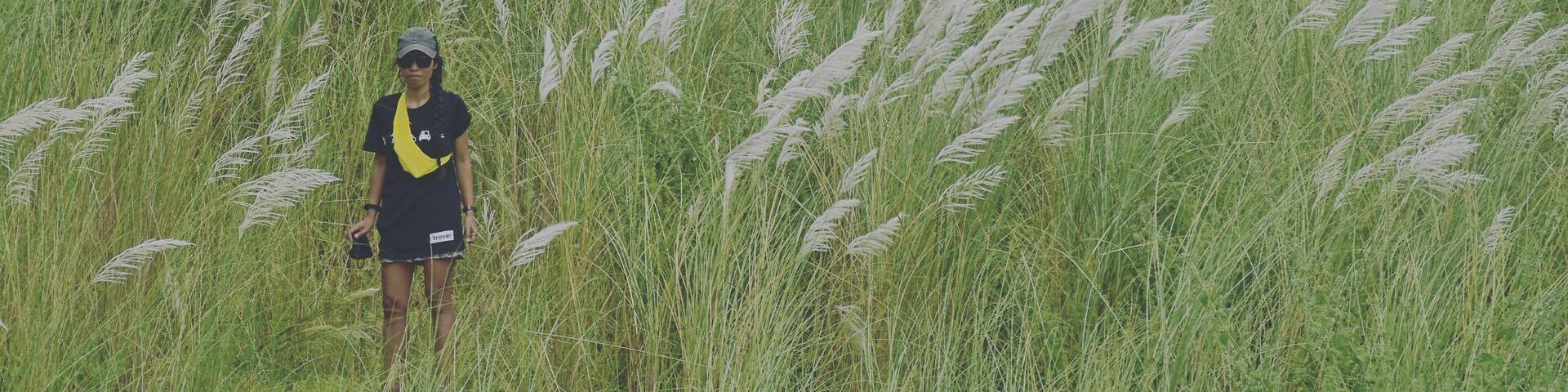 What seems to be fields of reed grass will surely catch your eyes when crossing the bridge. The flood plain, on both sides of the Abra river is teeming with these white flowers, beautifully swaying with the wind. They seem to go from under the bridge to the foot of the mountains. It's just gorgeous!
Thanks again @trover for sending the t-shirt over!
🇵🇭
#reedgrass