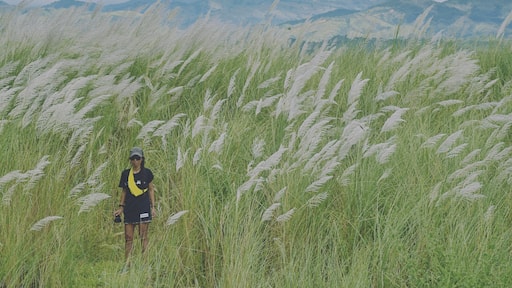 What seems to be fields of reed grass will surely catch your eyes when crossing the bridge. The flood plain, on both sides of the Abra river is teeming with these white flowers, beautifully swaying with the wind. They seem to go from under the bridge to the foot of the mountains. It's just gorgeous!
Thanks again @trover for sending the t-shirt over!
🇵🇭
#reedgrass