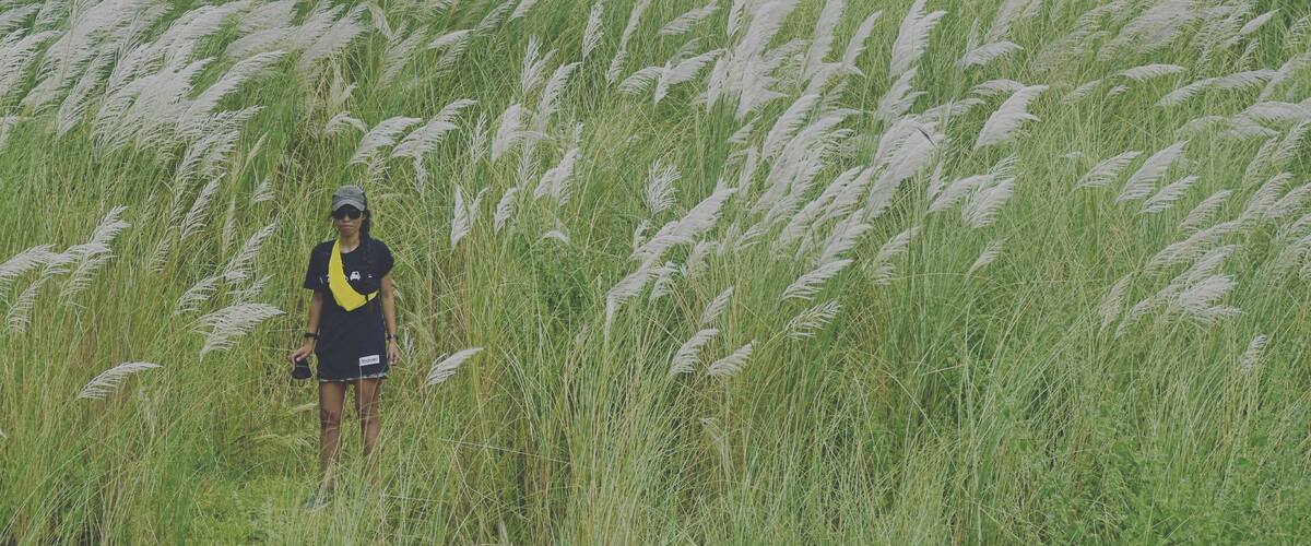 A person standing in a field of tall grass with mountains in the background.