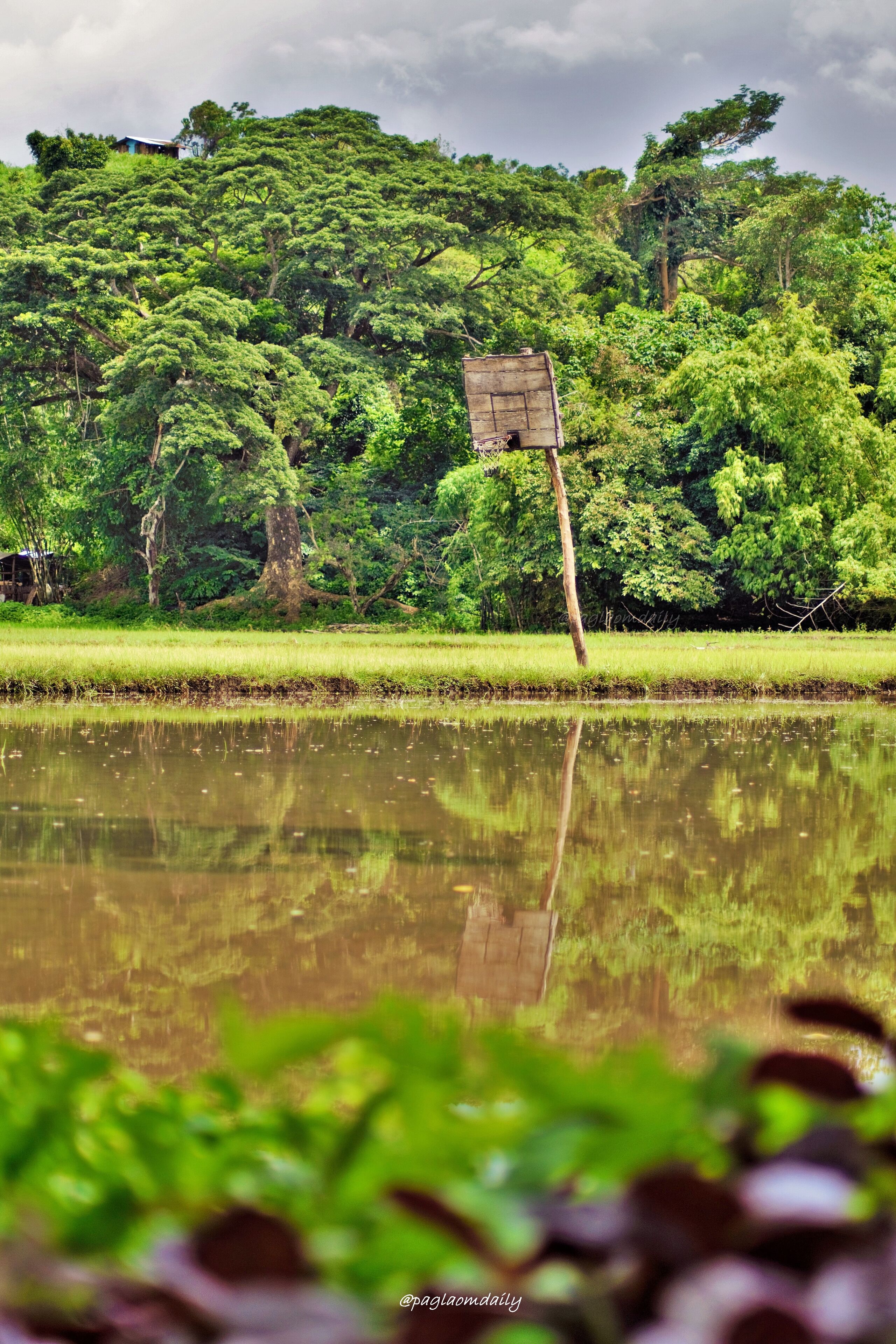 Rain means water for the rice fields. More rain will come this typhoon season.


#palayball