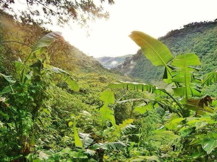 Took this during my first trekking experience to the Hidden Falls in Laguna. Believe me, it was the scariest experience ever going down out of mountains without any flashights! 