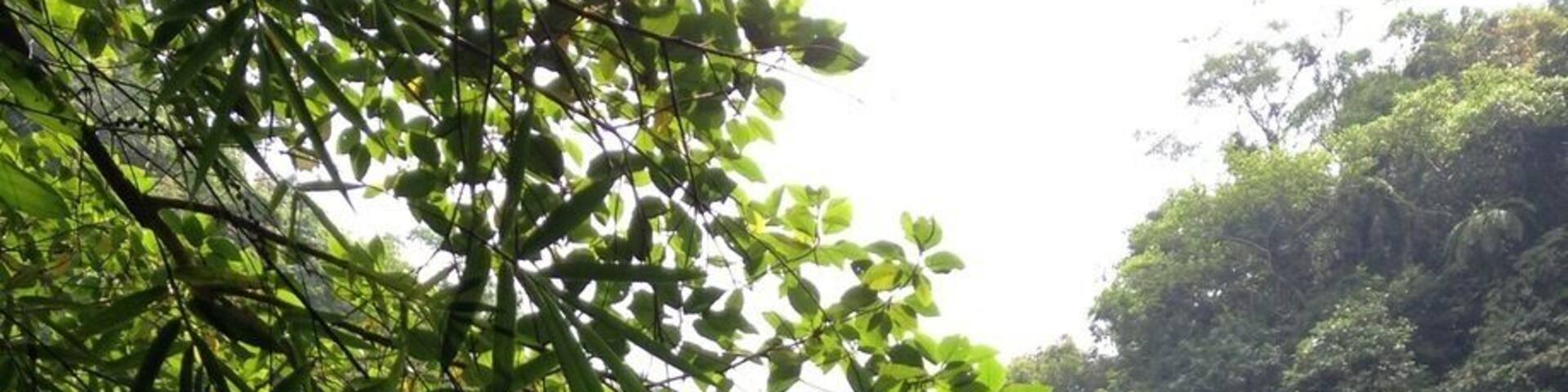 Beautiful Hidden Falls, worth the hike! :)