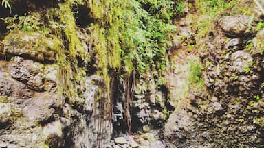 Hidden away in the mountains of Abra in the municipality of Licuan-Baay, is the village of Subagan. You have to descend 400m from the highway, the Abra-Kalinga Road, on a semi-concrete, rocky road, for a 5km distance. Then a couple of hour's trek along the river you'll find some waterfalls. The big boulders and rock faces have been carved through the years by the rushing water creating steep drops, and cave-like openings.
#Trovember
#abramazing