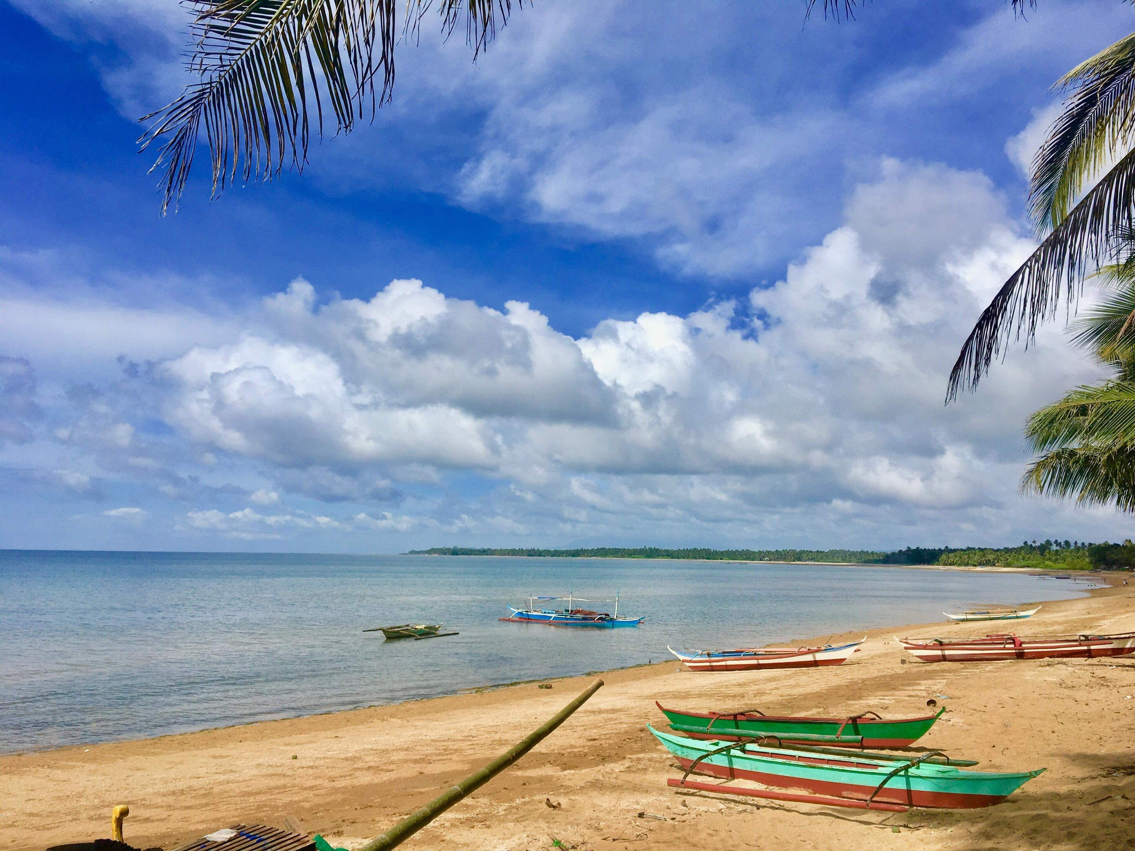 A beach with boats and palm trees.